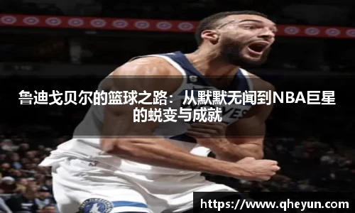 mk体育官网入口